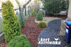 Előkert, kockaköves járdával (21)